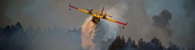 INCENDI: LA GIUNTA REGIONALE RICHIEDE AL GOVERNO LO STATO DI EMERGENZA