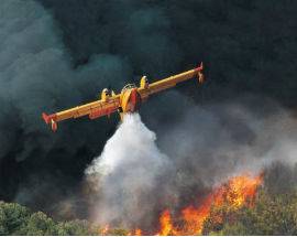 FIAMME DIVORANO BOSCO E ULIVETO A CIVITELLA ROVETO