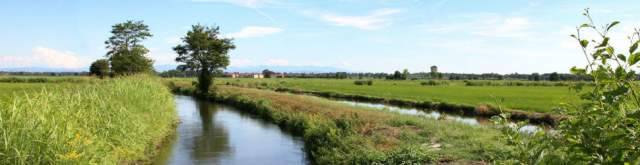 CONSORZI DI BONIFICA: AGRICOLTORI CONTRO CARO CANONI, VELENI E DEBITI IN EREDITA’
