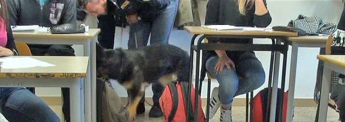 L’AQUILA: CANI ANTIDROGA E STUDENTI, ”SORPRESA E TIMORE, MA A TESTA ALTA”