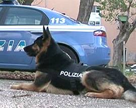 OPERAZIONE ANTIDROGA ”LUPO”, QUATTRO ARRESTI IN MARSICA