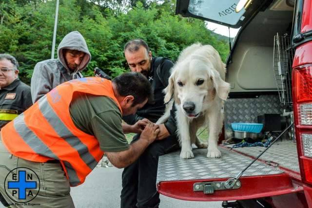TERREMOTO: 200 ANIMALI SOCCORSI E 9 TONNELLATE DI CIBO DISTRIBUITE