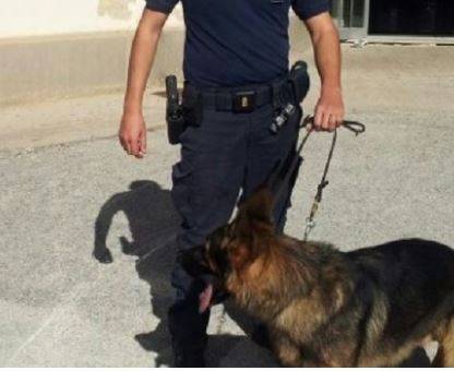 PESCARA: COCAINA E MIGLIAIA DI EURO IN CASA, ARRESTATI DUE ROM