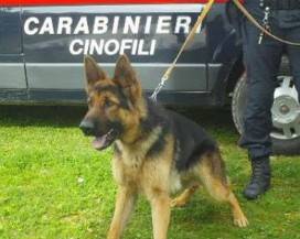 ANZIANO SCOMPARSO A POPOLI, LO CERCANO CARABINIERI CON CANI