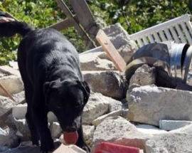SISMA CENTRO ITALIA: ALBANO, ”L’AQUILA RESTERA VICINA E SOLIDALE”