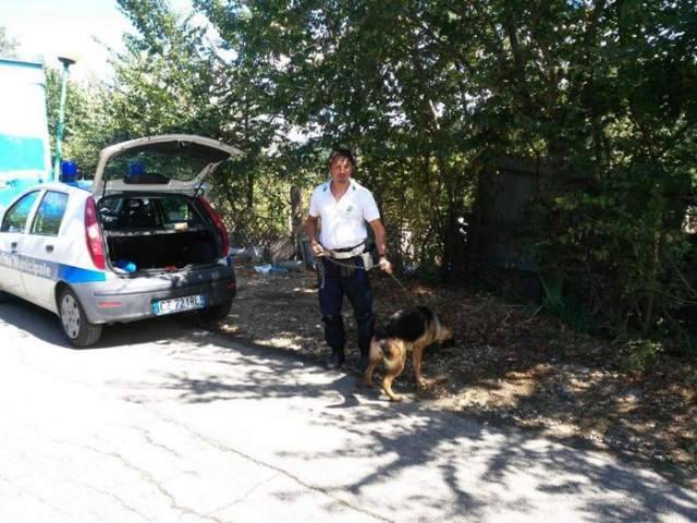 LA STORIA A LIETO FINE DEL CANE RAPITO A MAGGIO RITROVATO DAI VIGILI A PESCARA