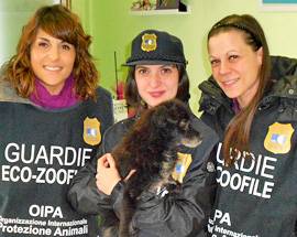 TERAMO: LA CAGNOLINA MALTRATTATA MINNIE SALVATA DALLE GUARDIE