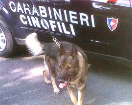 DROGA IN CASA A MONTESILVANO, CARABINIERI ARRESTANO 2 PERSONE