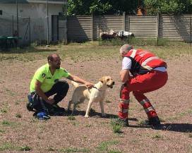 MAGLIANO DE’ MARSI: UN EVENTO DEDICATO AI CANI CHE SALVANO VITE