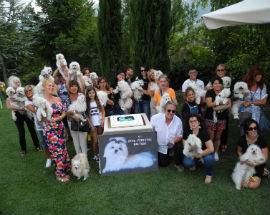 L’AQUILA: CENA RADUNO PER CANI DI PICCOLA TAGLIA, ”COME SE FOSSERO ALTRI FIGLI, INSIEME SI IMPARA”