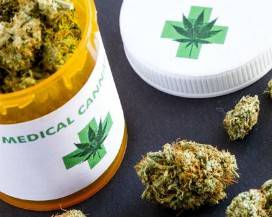 COLTIVA CANNABIS A SCOPO TERAPEUTICO, ASSOLTO