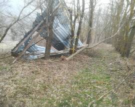 MALTEMPO: A CAPITIGNANO STALLE DISTRUTTE, ANIMALI AL FREDDO E ALBERI DIVELTI