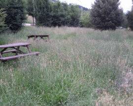 TERAMO VIVI CITTA’: ”VERDE NEL DEGRADO, OCCORRE  CAPRA DI QUARTIERE”
