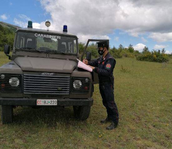 INCENDI L’AQUILA: PRESO PRESUNTO RESPONSABILE ROGO A CASALINE DI PRETURO
