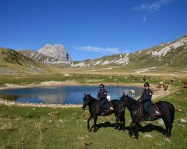 PARCO NAZIONALE: PASCOLI IN AREA PROTETTA, 20.000 EURO DI SANZIONI