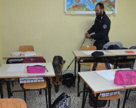 CARABINIERI IN CLASSE COI CANI ANTIDROGA A TAGLIACOZZO