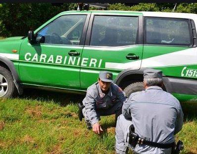 IO SONO AMBIENTE: NEL PNALM LEZIONI DEI CARABINIERI PER LA BIODIVERSITA’