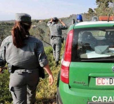 EPIFANIA: BEFANA BIODIVERSITA’ DEI CARABINIERI FORESTALI AL SAN SALVATORE