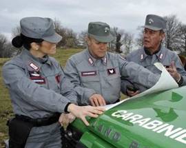 CORTE COSTITUZIONALE: ”E’ LEGITTIMO ASSORBIMENTO FORESTALI ARMA CARABINIERI”