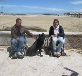 SPIAGGE INACCESSIBILI: DISABILI PROTESTANO, ”CANI HANNO PIU’ DIRITTI”