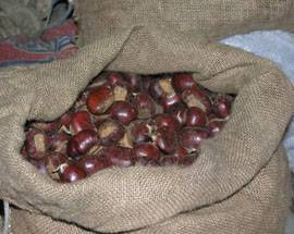 CANISTRO: CASTAGNE E PRODOTTI TIPICI PER RISCALDARE IL CUORE