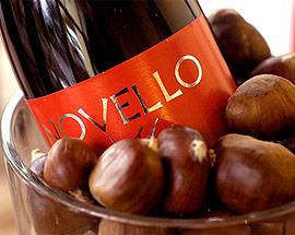 L’ORA DI SAN MARTINO, TRA CASTAGNE E NOVELLO MA OCCHIO ALLE CORNA!