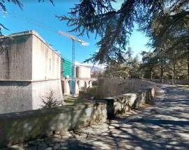 L’AQUILA: L’IRA DEL WEB SULL’AGGRESSIONE DEL PITBULL AL PARCO DEL CASTELLO, ”CONTROLLI E MULTE PER TUTTI”