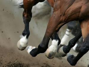 L’AQUILA: WESTERN SHOW CAPITIGNANO, ROBA PER CAVALLI E CAVALIERI