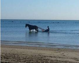 IL TRINITA’ PESCARESE SI FA TRASCINARE IN MARE DAL CAVALLO, MANCA BAMBINO