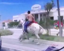 PESCARA: COL CAVALLO AL GALOPPO SULLA CICLABILE DELLA RIVIERA NORD