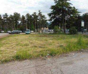 AVEZZANO: TAGLIO ARBUSTI IN PINETA, ”COSI’ SI UCCIDE LA BIODIVERSITA”’