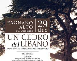 FAGNANO ALTO, UN CEDRO DAL LIBANO IN MEMORIA DI TUTTI I CRISTIANI PERSEGUITATI