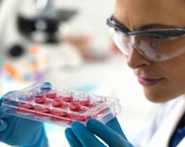 OSPEDALE SAN SALVATORE: LICEALI A LEZIONE  DI DNA E STAMINALI