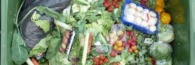 ABRUZZO SPRECONE: NEL CESTINO 98 MILA TONNELLATE DI CIBO L’ANNO