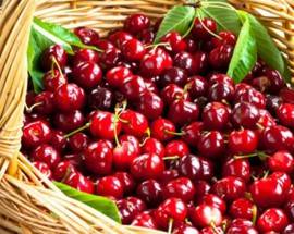 RAIANO: MUSICA E STAND GASTRONOMICI ALLA 63ESIMA SAGRA DELLE CILIEGIE