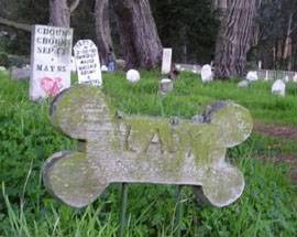 NASCE IN ABRUZZO PRIMA AGENZIA FUNEBRE PER ANIMALI D’ITALIA