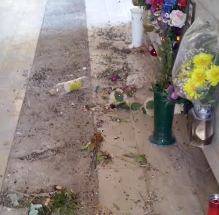 CIMITERO L’AQUILA: FECI DI PICCIONE SULLE LAPIDI ”PERICOLO SANITARIO”