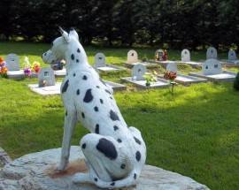 CIMITERO PER ANIMALI DOMESTICI A MONTESILVANO: ”AMICI A 4 ZAMPE HANNO STESSA DIGNITA’ DELL’UOMO”