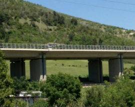 L’AQUILA: PETTINO, ”BRANCO DI CINGHIALI NELLE ZONE VERDI VICINE ALLE  ABITAZIONI”