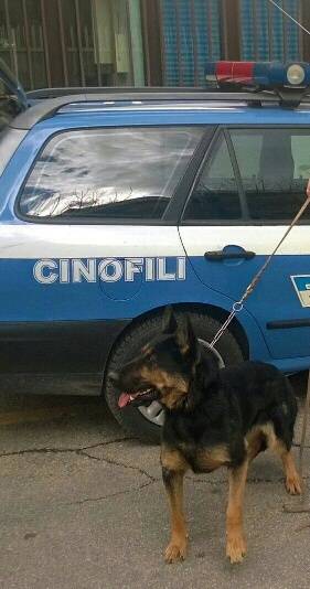 DROGA: CONTROLLI COI CINOFILI ALL’ISTITUTO ROZZI DI TERAMO