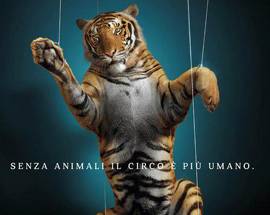 LA REGIONE VIETA PRESENZA DI CIRCHI CON ANIMALI ESOTICI