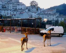 CIVITELLA ALFEDENA: LA RIPARTENZA NEL COMUNE PIU’ PICCOLO DEL PARCO NAZIONALE D’ABRUZZO, LAZIO E MOLISE