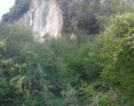 SOCCORSO ALPINO, POMERIGGIO DA CANI: SALVATA DONNA, POI UN BRACCO