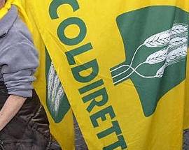 DL SEMPLIFICAZIONI: COLDIRETTI, CADE ‘SEGRETO DI STATO’ SU CIBI STRANIERI