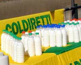 LATTE: COLDIRETTI ABRUZZO SODDISFATTA ”340 MILIONI IN PIU”’