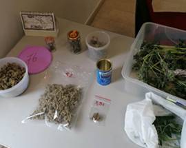 PESCARA: COLTIVAZIONE MARIJUANA IN CASA, ARRESTATO 40ENNE
