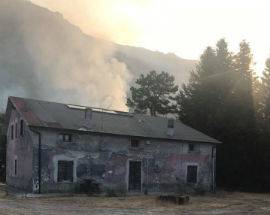 INCENDI: AMBIENTALISTI, ”BENE DIETROFRONT REGIONE SU RIMBOSCHIMENTO”
