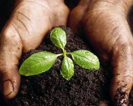 L’AQUILA: RIFIUTI ORGANICI TRASFORMATI IN COMPOST GRATIS PER I CITTADINI