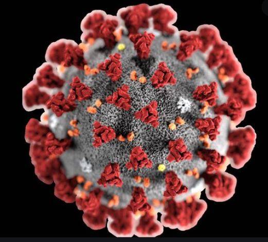 CORONAVIRUS: SPERANZA, ”MISURE A LIVELLO PIU’ ALTO”