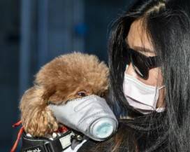 CORONAVIRUS: USCITO DALLA CINA CON 34 CASI INVISIBILI